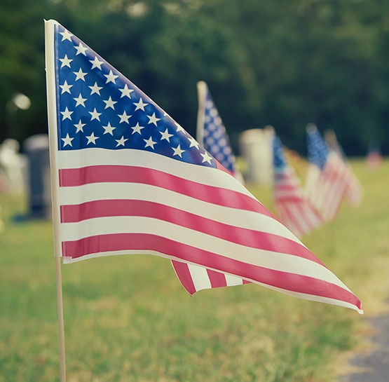 Flag of The United States of America