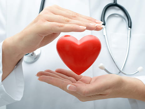 Doctor holding a heart