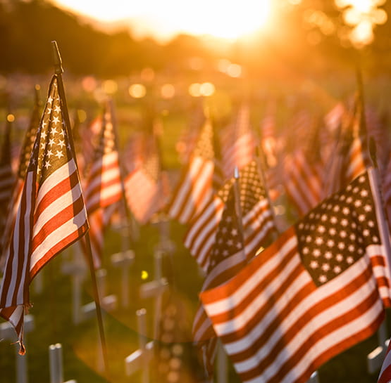 Flags for The United States of America