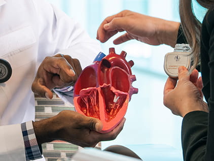 Doctor pointing at model of a heart